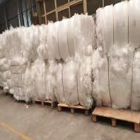 Film LDPE